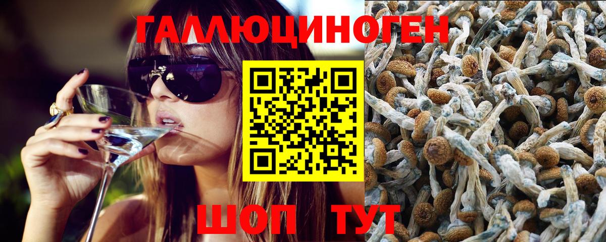 Галлюциногенные грибы Cubensis Сафоново